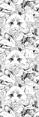 Rolgordijn voor het raam Getekende katten