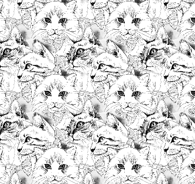 Rolgordijn voor het raam Getekende katten