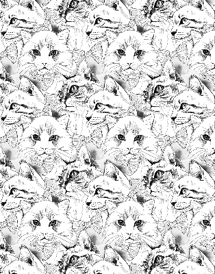 Rolgordijn voor het raam Getekende katten