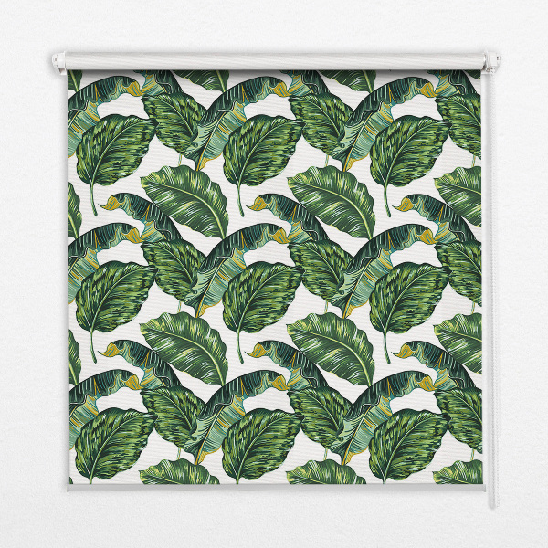 Rolgordijn voor het raam Exotische bladeren