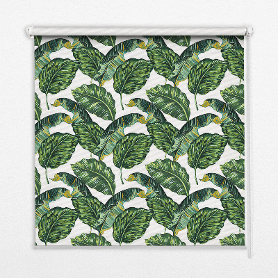 Rolgordijn voor het raam Exotische bladeren