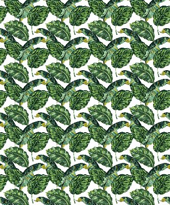 Rolgordijn voor het raam Exotische bladeren