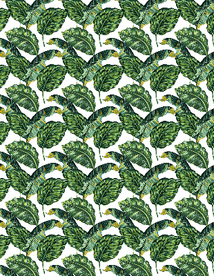 Rolgordijn voor het raam Exotische bladeren