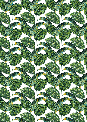 Rolgordijn voor het raam Exotische bladeren