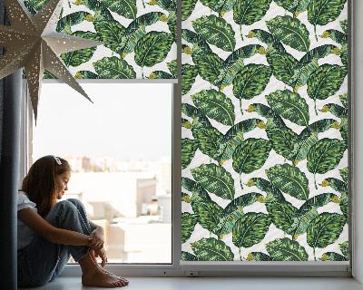 Rolgordijn voor het raam Exotische bladeren