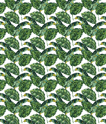 Rolgordijn voor het raam Exotische bladeren