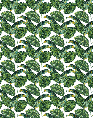 Rolgordijn voor het raam Exotische bladeren