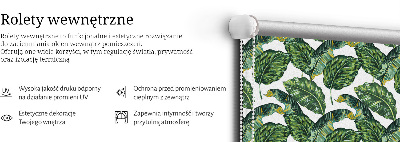 Rolgordijn voor het raam Exotische bladeren