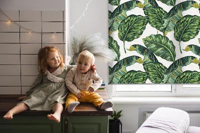 Rolgordijn voor het raam Exotische bladeren