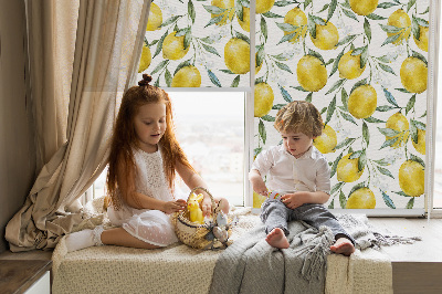 Rolgordijn voor het raam Citroenen