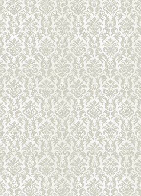 Rolgordijn voor het raam Beige patroon