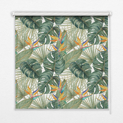 Rolgordijn voor het raam Tropische planten