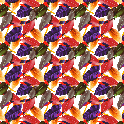 Rolgordijn verduisterend Kleurrijke bladeren