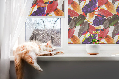 Rolgordijn verduisterend Kleurrijke bladeren