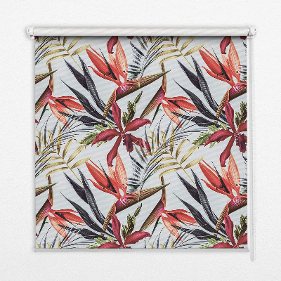 Rolgordijn voor het raam Exotische bladeren
