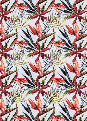 Rolgordijn voor het raam Exotische bladeren