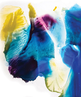 Rolgordijn verduisterend Geschilderd beeld