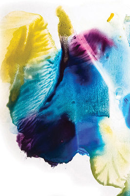 Rolgordijn verduisterend Geschilderd beeld