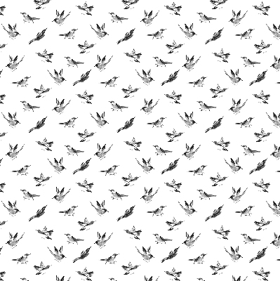 Rolgordijn voor het raam Vogels