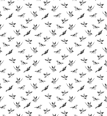 Rolgordijn voor het raam Vogels