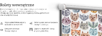 Rolgordijn voor het raam Kleurrijke kattengezichten