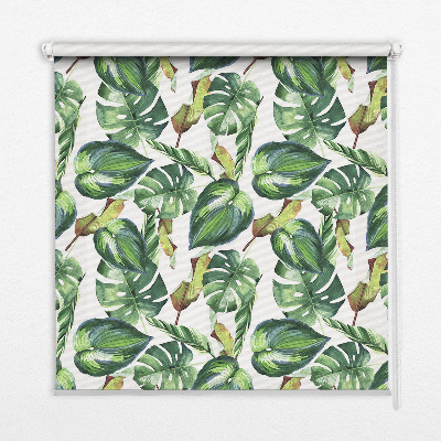 Rolgordijn voor het raam Tropische planten