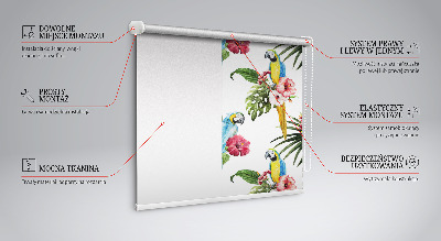 Rolgordijn voor het raam Papegaai op bloemen