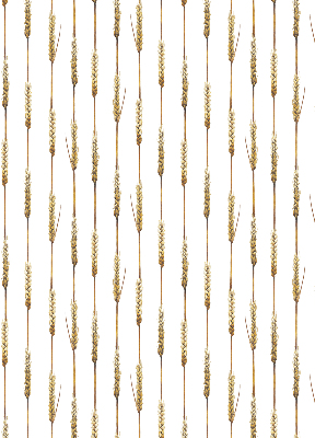 Rolgordijn voor het raam Graan