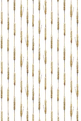 Rolgordijn voor het raam Graan