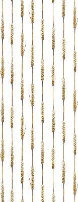 Rolgordijn voor het raam Graan