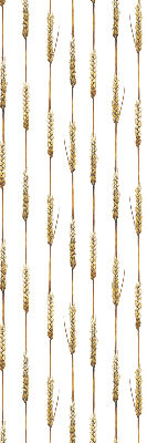 Rolgordijn voor het raam Graan