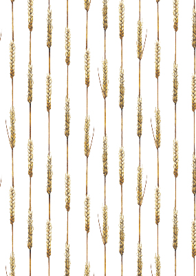 Rolgordijn voor het raam Graan