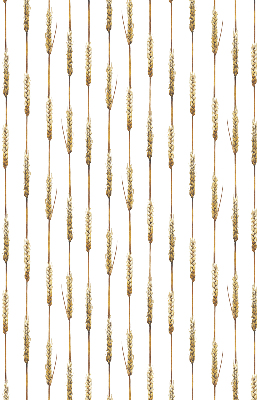 Rolgordijn voor het raam Graan