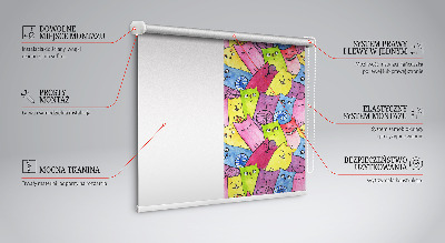 Rolgordijn voor het raam Kleurrijke katten