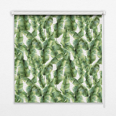 Rolgordijn voor het raam Bladeren