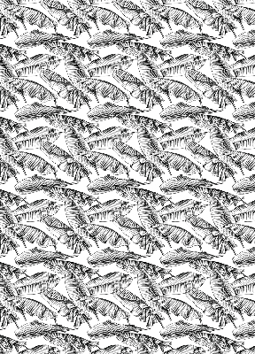 Rolgordijn voor het raam Varenbladeren