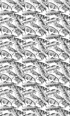 Rolgordijn voor het raam Varenbladeren