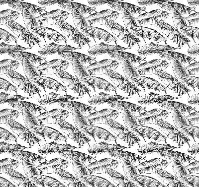 Rolgordijn voor het raam Varenbladeren