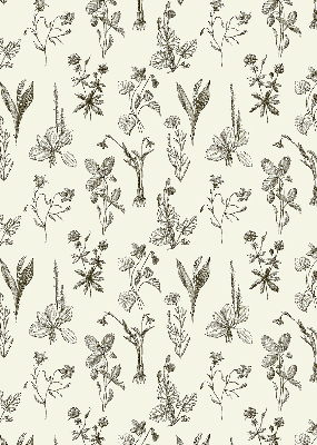 Rolgordijn verduisterend Getekende bloemen