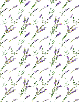 Rolgordijn voor het raam Lavendel