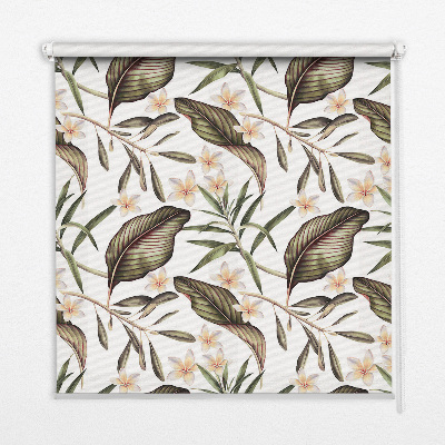 Rolgordijn voor het raam Bloemen met stengels