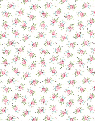 Rolgordijn voor het raam Rozen