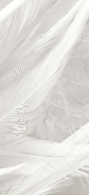 Rolgordijn voor het raam veren