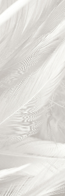 Rolgordijn voor het raam veren