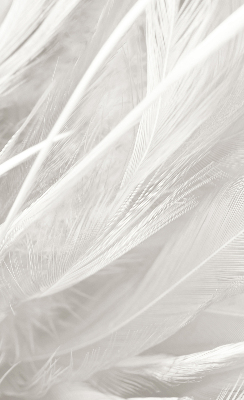 Rolgordijn voor het raam veren