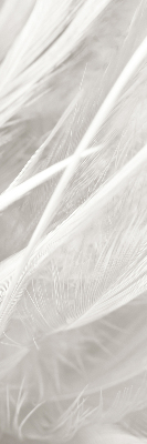 Rolgordijn voor het raam veren