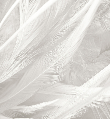 Rolgordijn voor het raam veren