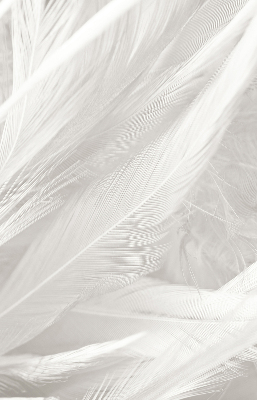 Rolgordijn voor het raam veren