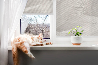 Rolgordijn voor het raam veren