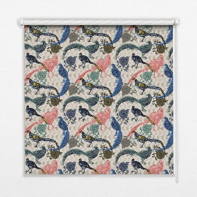 Rolgordijn voor het raam Kleurrijke pauwen